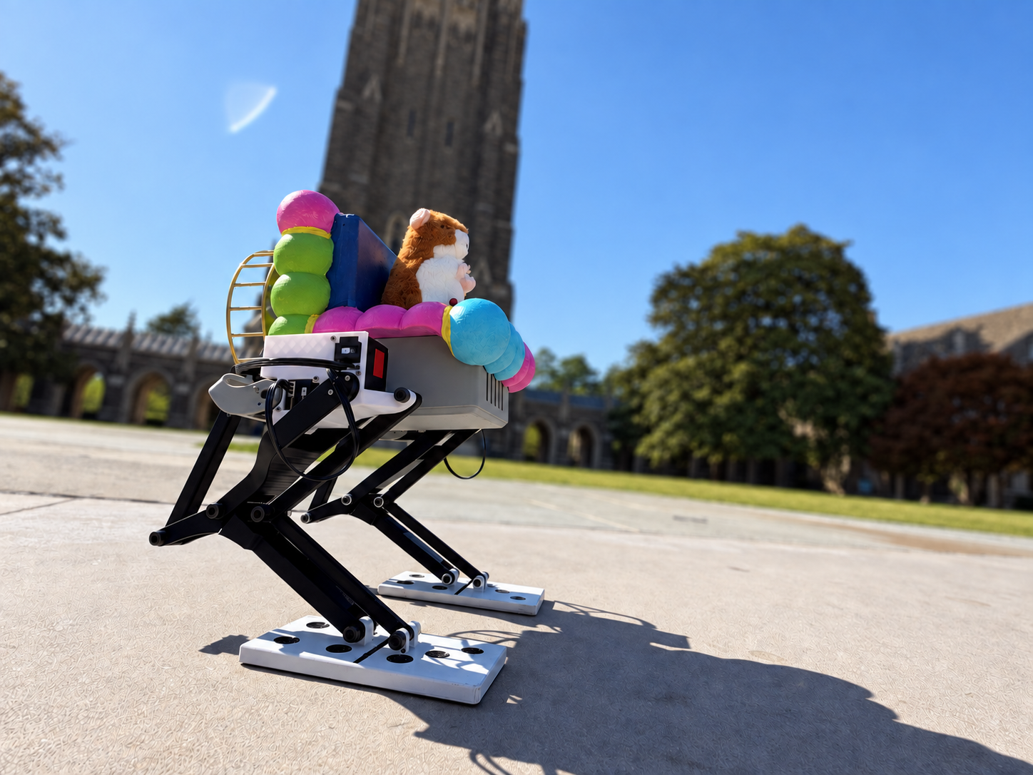 Bipedal walking robot on the Duke quad