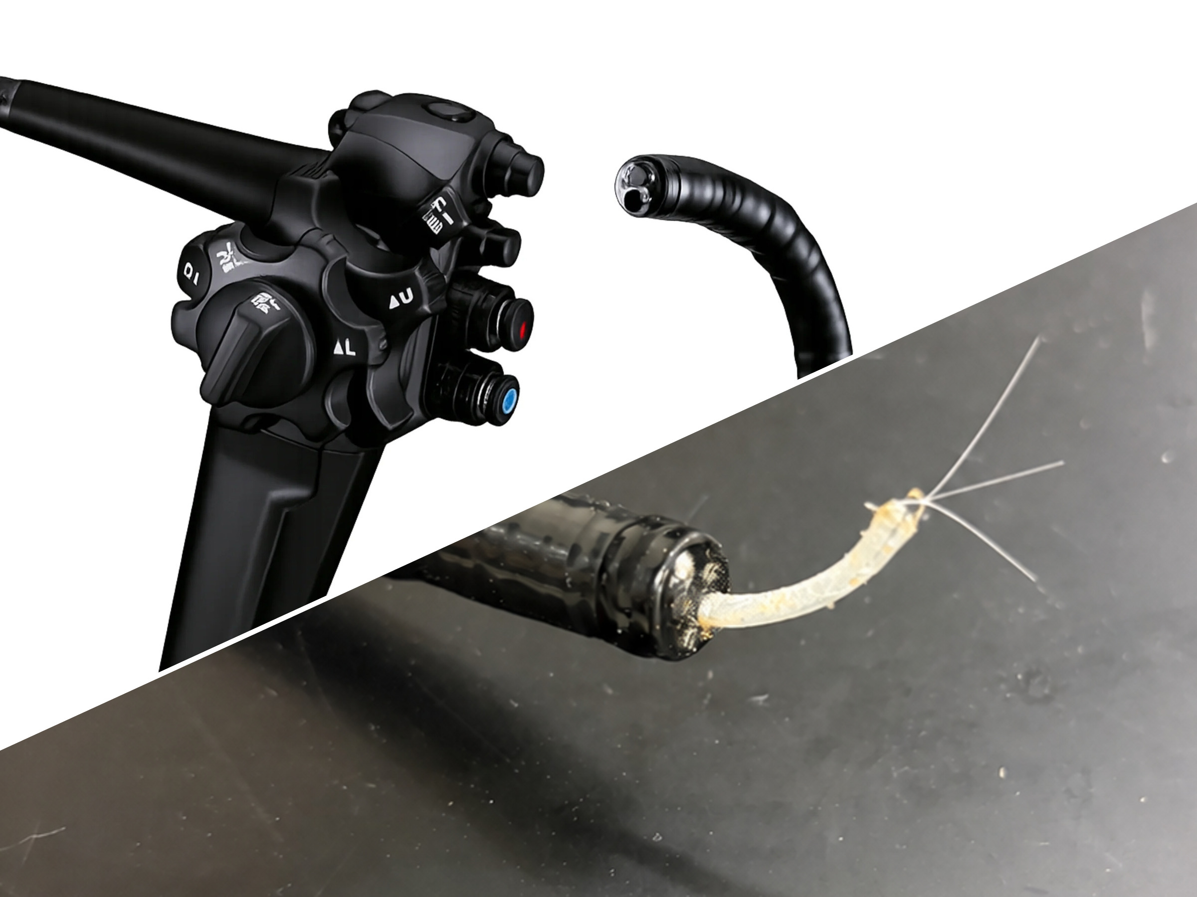 Endoscope handle beside an articulating continuum tip