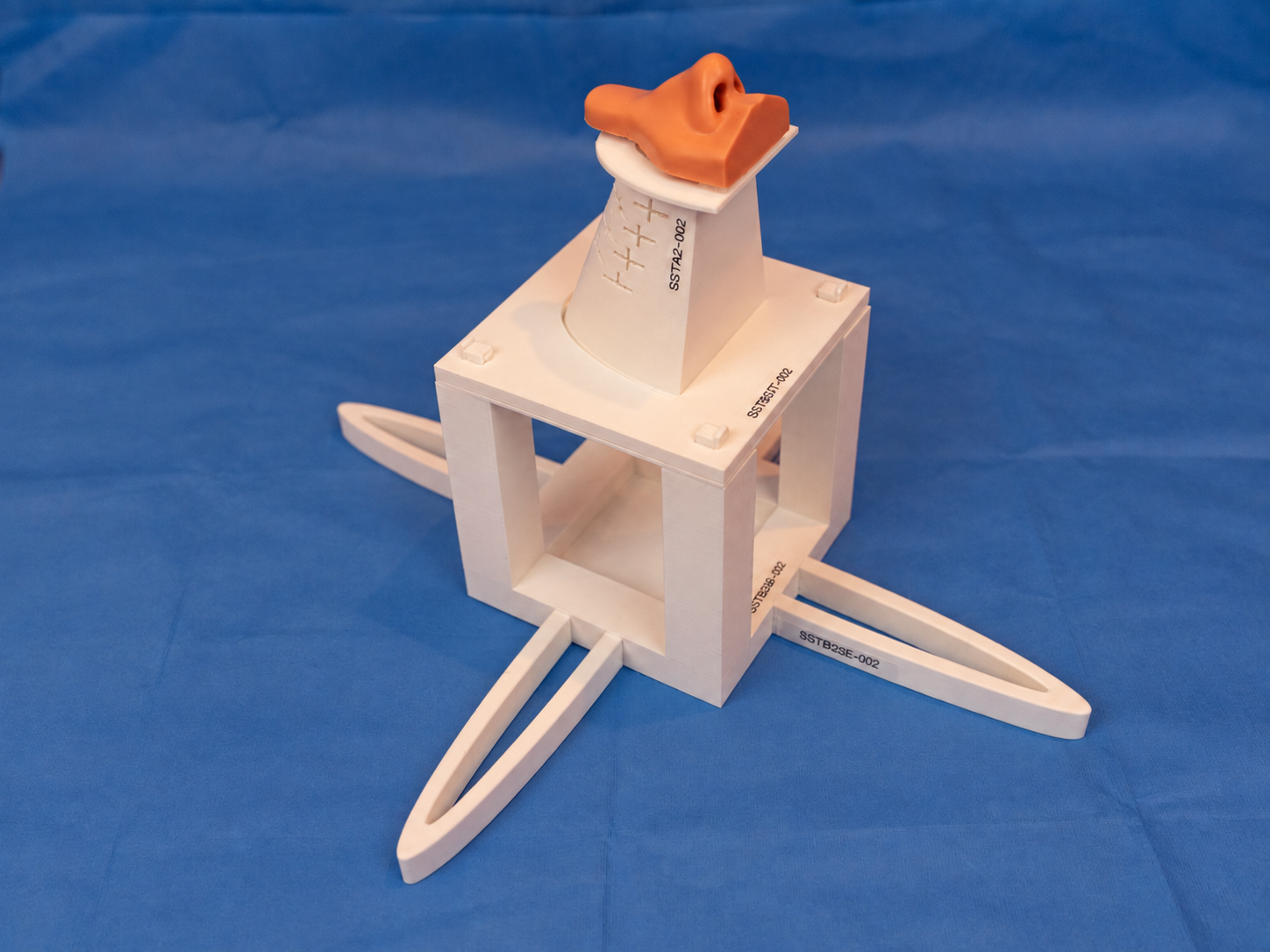 Printed sinus surgery trainer with silicone insert